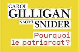 Pourquoi le patriarcat _Flammarion_9782080255648.jpg