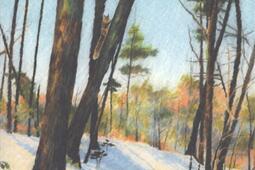 Promenade en hiver_Reliefs editions_9782380362589.jpg