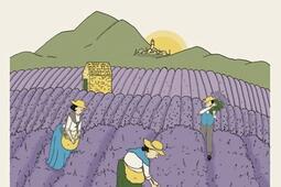 Proverbes & dictons de Provence.jpg