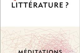 Que faire de la litterature _Flammarion_9782080431738.jpg