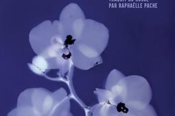 Regardele_Actes Sud_9782330221546.jpg