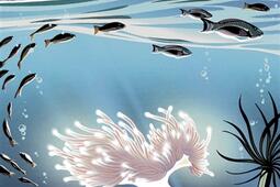 Reliefs n 21 Oceans_Reliefs editions_9782380362206.jpg