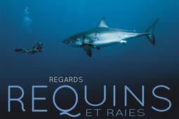 Requins et raies : regards croisés.jpg