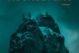 Rochebrune_Actes Sud_9782330224417.jpg