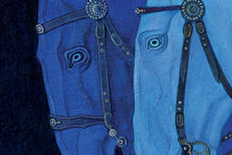 Roman national Rumanzu naziunali_Actes Sud_9782330222000.jpg