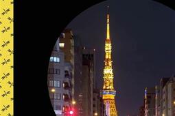 Rouge est la nuit.jpg