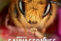 Sauvageonnes : abeilles natives.jpg