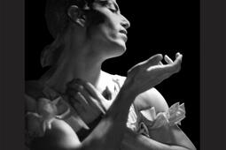 Serge Lifar  la danse pour patrie_Hermann_9782705666378.jpg