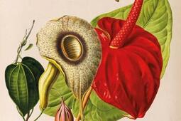 Sex-appeal : la scandaleuse vie de la nature.jpg