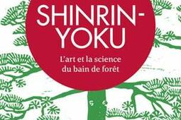 Shinrin-yoku : l'art et la science du bain de forêt.jpg