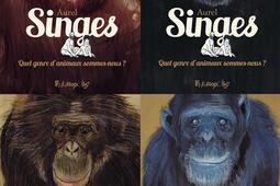 Singes : quel genre d'animaux sommes-nous ?.jpg