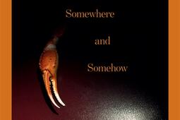 Somewhere and somehow_Actes Sud_9782330221997.jpg