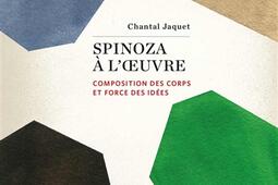 Spinoza a loeuvre  composition des corps et for_Editions de la Sorbonne_9782859449841.jpg