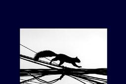 Square Edison_Lansman editeur_9782807103986.jpg