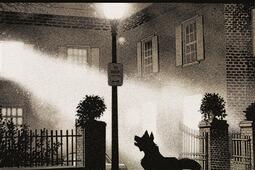 Stray dogs : couverture L'exorciste.jpg