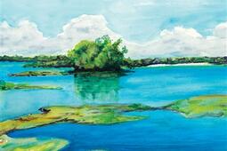 Sur le fleuve Amazone  carnet de voyage_Le Livre de poche_9782253911548.jpg