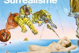 Surrealisme  lexposition du centenaire au Centr_Beauxarts editions_9791020409249.jpg