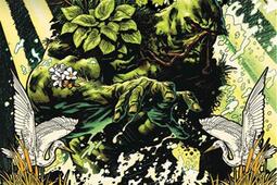 Swamp Thing. Vol. 1. De sève et de cendres.jpg