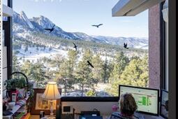 The office of good intentions : human(s) work.jpg