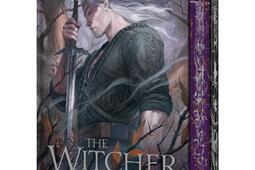 The witcher Vol 1 Le dernier voeu_Bragelonne_9791028137168.jpg