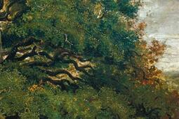 Theodore Rousseau 18121867  la voix de la for_ParisMusees_Musee du Petit Palais_9782759605743.jpg