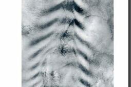 Tous les chiens sont bleus_Le Lampadaire_9782955909751.jpg