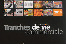 Tranches de vie commerciale : petits exercices de penser-client : une année à arpenter les magasins, éplucher les prospectus et décoder la communication des enseignes.jpg