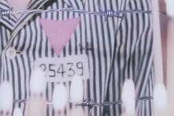 Triangle rose  la persecution nazie des homosexuels et sa memoire_Autrement_9782746714854.jpg