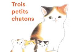Trois petits chatons_Ecole des loisirs_9782211338493.jpg