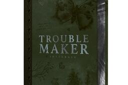 Troublemaker  integrale_HLab_9782017335153.jpg