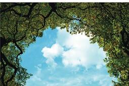 Turbulences_Gallimard_9782073086471.jpg