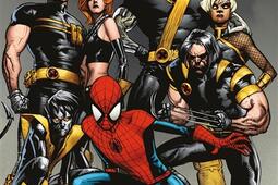 Ultimate SpiderMan Vol 10 La mort dun bouffon_Panini comics_9791039142823.jpg