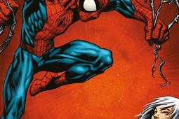 Ultimate SpiderMan Vol 8 Heros des rues_Panini comics_9791039136433.jpg