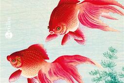Un amour de poisson rouge_Bartillat_9782841007684.jpg
