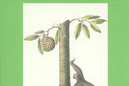 Un aventurier anglais au Brésil : les tribulations d'Anthony Knivet (1591).jpg