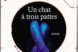Un chat à trois pattes.jpg