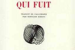 Un cheval qui fuit.jpg