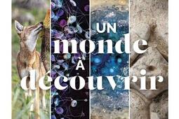 Un monde a decouvrir  des atomes aux etoiles _Editions 41_9782889155903.jpg