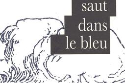 Un saut dans le bleu_Actes Sud_9782330195823.jpg