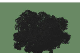 Un zakari et une danse_Au maximum_9791041512355.jpg