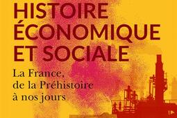Une histoire economique et sociale  la France d_Passes composes_9791040406280.jpg
