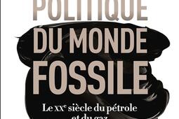 Une histoire politique du monde fossile  le XXe s_Flammarion_9782080427922.jpg