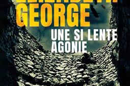 Une si lente agonie_Presses de la Cite_9782258211063.jpg