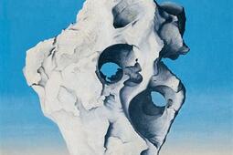 Vertige du surrealisme  art et litterature  la_Gallimard_9782073082558.jpg