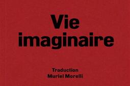 Vie imaginaire_Ypsilonediteur_9782356541321.jpg