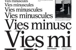 Vies minuscules  journal_Editions du Centre Pompidou_9782386540585.jpg
