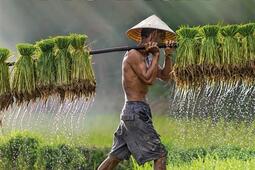 Vietnam.jpg