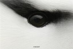 Vincent Munier_Kobalann_9791096728039.jpg