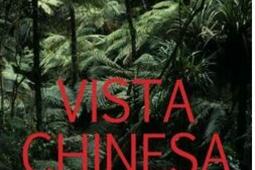 Vista Chinesa.jpg
