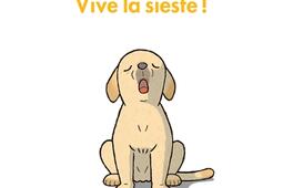 Vive la sieste !.jpg